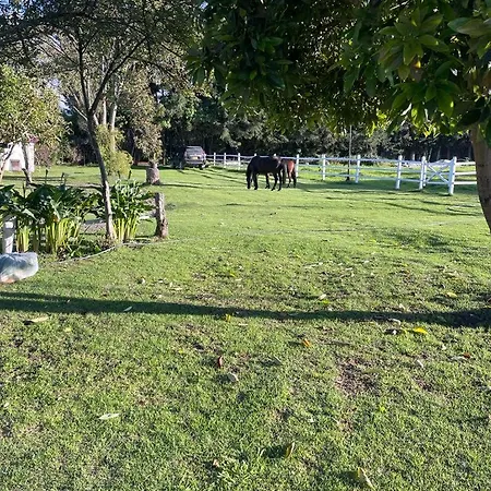Luxury Finca El Ensueno, Casa Entera, Con Sauna, Jacuzzi, Bbq Y Caballos Tenjo Exterior photo