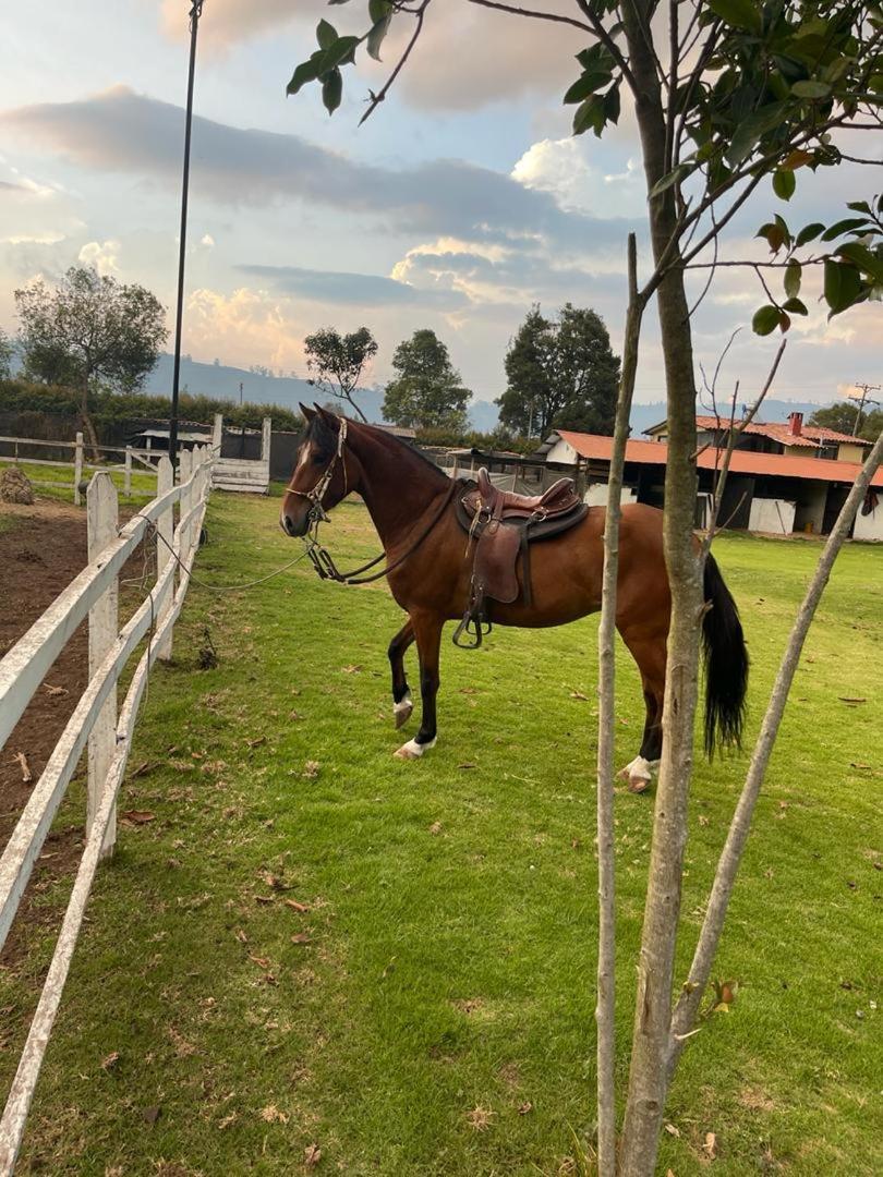 Luxury El Ensueno, Casa Entera, Con Sauna, Jacuzzi, Bbq Y Caballos Villa Tenjo