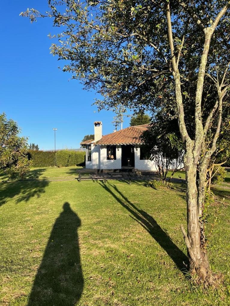 Luxury El Ensueno, Casa Entera, Con Sauna, Jacuzzi, Bbq Y Caballos