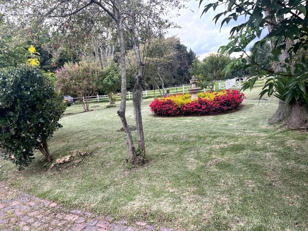 Villa Luxury El Ensueno, Casa Entera, Con Sauna, Jacuzzi, Bbq Y Caballos *