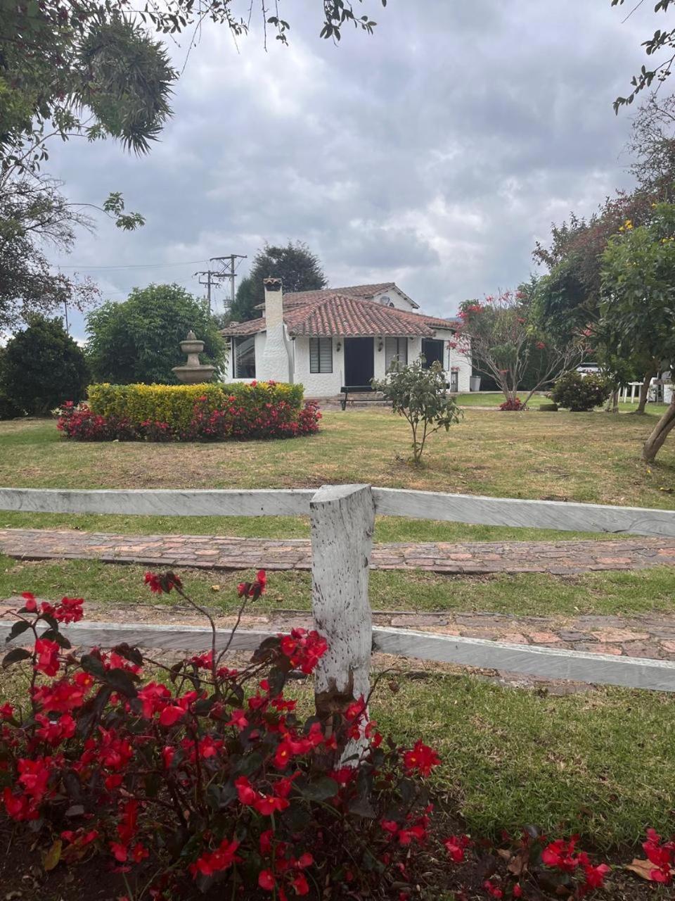 Luxury El Ensueno, Casa Entera, Con Sauna, Jacuzzi, Bbq Y Caballos